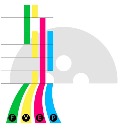 Ein Diagramm mit fünf vertikalen farbigen Balken (Grün, Gelb, Rosa, Blau und Cyan) mit der Bezeichnung F, V, E, P und Linien, die rechts mit grauen Halbkreisen verbunden sind.